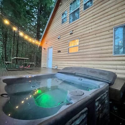 Pet-Friendly Mt Baker | Hot Tub, BBQ + Patio, Pets